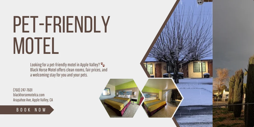 The pet-friendly Black Horse Motel in Apple Valley, CA, offers comfortable rooms ideal for guests traveling with pets.